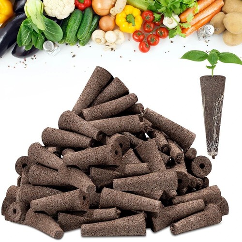 50pcs seed grow - 50pcs,