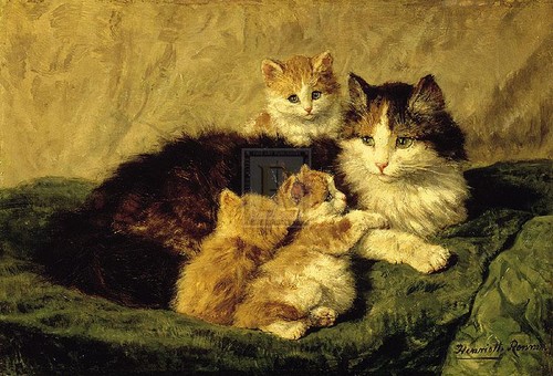 Henriette ronner knip - henriette, ronner-knip