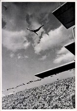 Sammelbild Olympia 1936, Turmspringer Marshall Wayne - 11134846