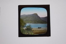 Rural Scene With Horse & Trap