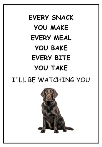 Flat coated retriever ll - coated,