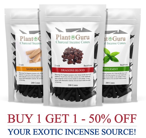 200 jumbo charcoal incense - 200,