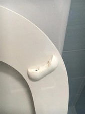 ideal standard toilet seat