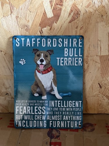 Staffordshire bull terriers - staffordshire,