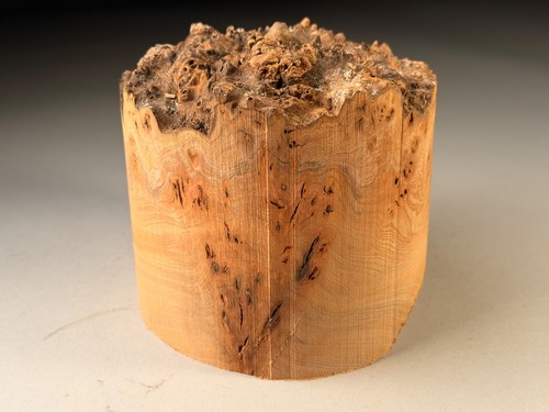 Live edge burr elm resin - burr,