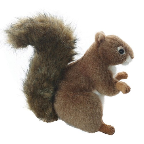 Hansa red squirrel - hansa,