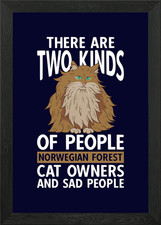 Norwegian Forest Cat Framed