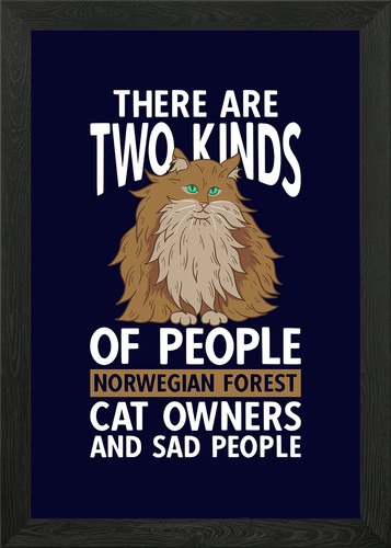 Norwegian forest cat framed - norwegian,