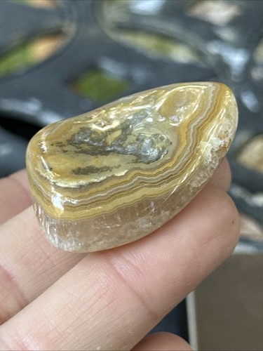 Louisiana crowley ridge agate - crowley,