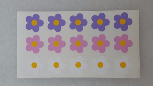 Daisy flowers car - ,