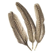Knorr Prandell 15-20cm Guinea Fowl Feathers - 8pcs #6617980