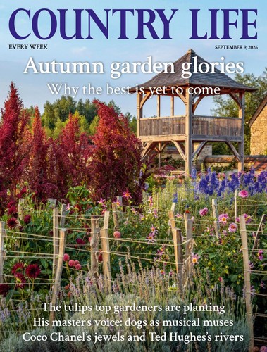 Country life magazine - country,
