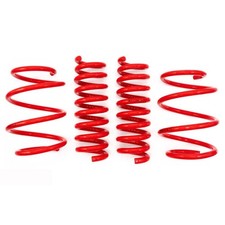 V-Maxx Front Lowering Springs