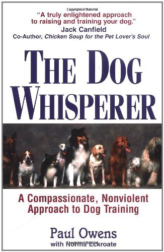 The dog whisperer a - dog, whisperer: