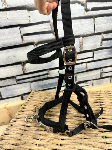 Espro web lunging - lunging, cavesson