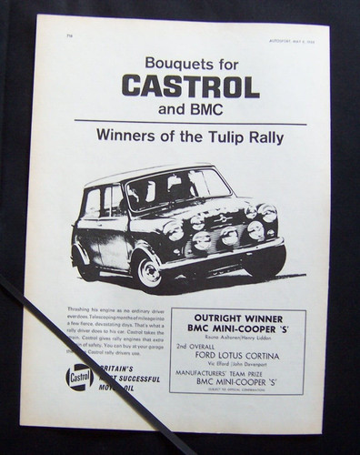 Bmc mini cooper - mini, tulip