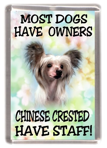 Chinese crested dog fridge - dog,