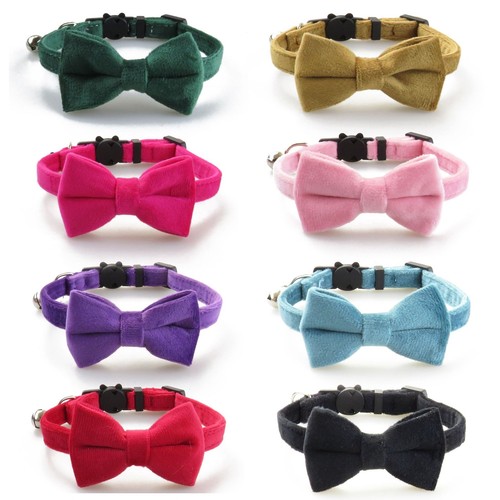 2025 cat collar - collar, tie