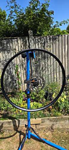 Bontrager line 29er - bontrager, rear