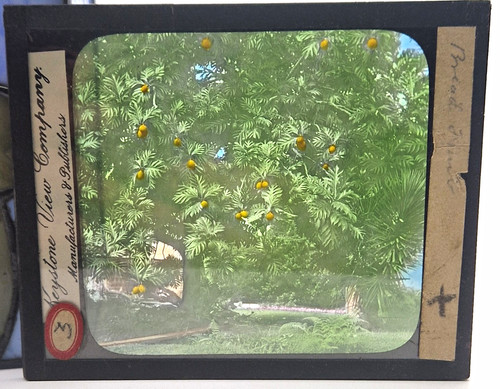 Antique keystone view - antique, magic