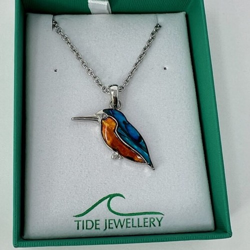 Kingfisher paua shell - kingfisher,