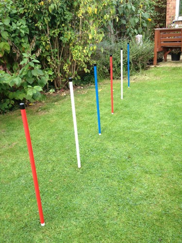 Dog agility coloured pole - dog,