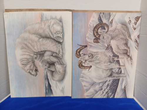 Signed doug lindstrand - 2,
