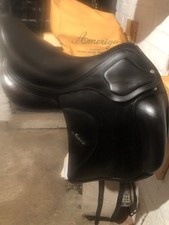 Amerigo HC Siena Dressage