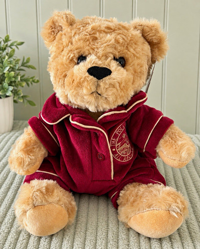 The polar express teddy - teddy, bear