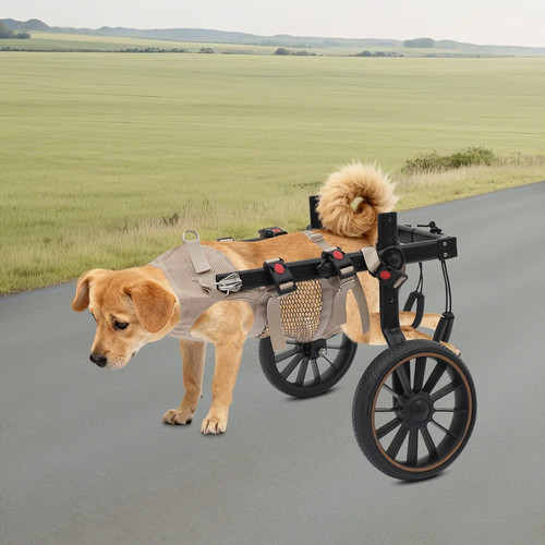 Adjustable pet rehabilitation - pet,