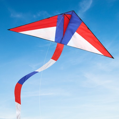 Kites for children adult large - for,