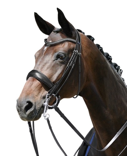 Passierblu dream double - double, bridle
