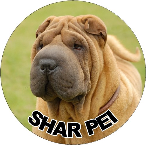 Shar pei dog car stickers - 2,