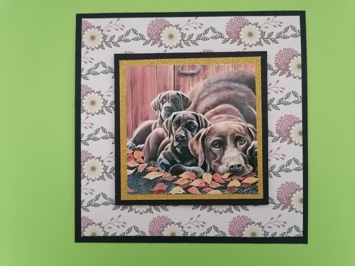 Card making toppers - x,