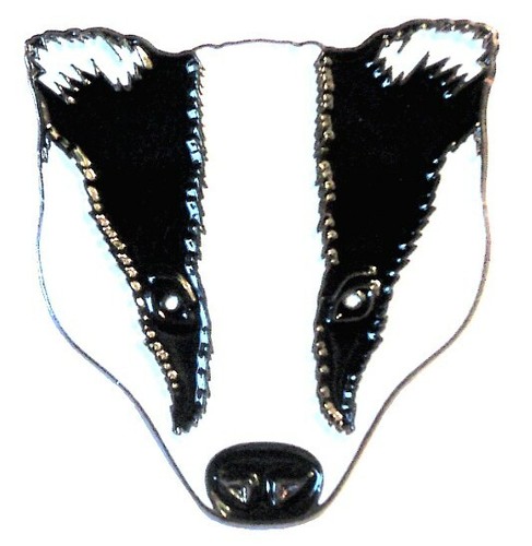 Badger head metal enamel pin - badger,
