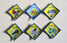 Six New Brownies Interest