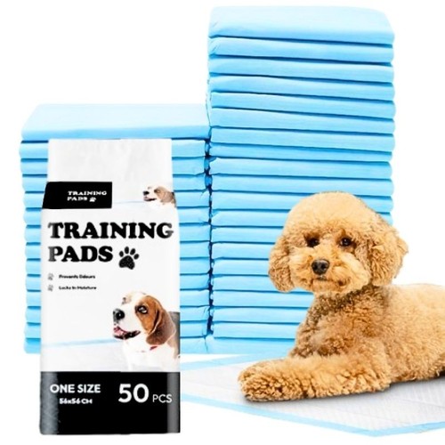 Large puppy training pads - training,