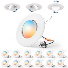 12 Pack 6 Inch Retrofit