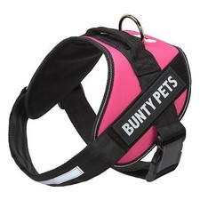 Bunty Dog Harness No Pull