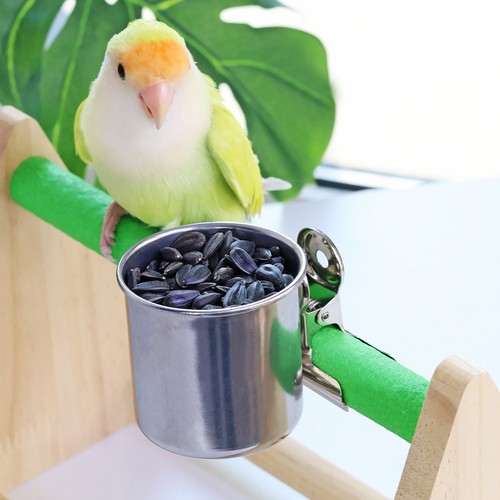 Stainless steel bird - bird, cage