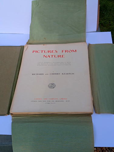 1905 pictures from - pictures, nature
