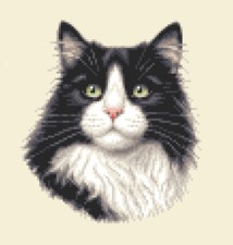 BLACK & WHITE CAT, KITTEN , Full counted cross stitch kit  *Jann Designs