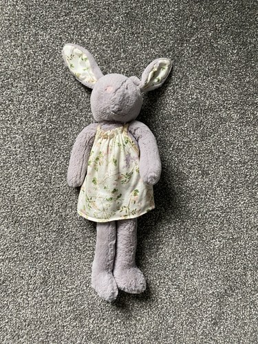 Next bunny rabbit - rabbit, best