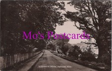 Sussex Postcard - Highgate