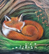 UNIQUE FOX IN A TREE TRUNK