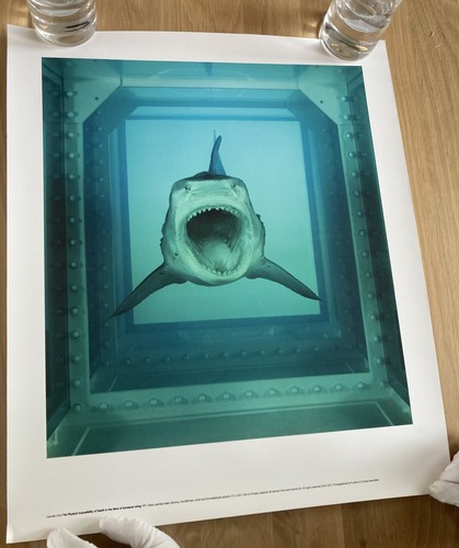 Damien hirst shark poster - poster, 2012