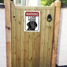 Warning I Live Here Black Labrador Dog Metal Gate Sign 150mm x 200mm 1308H1