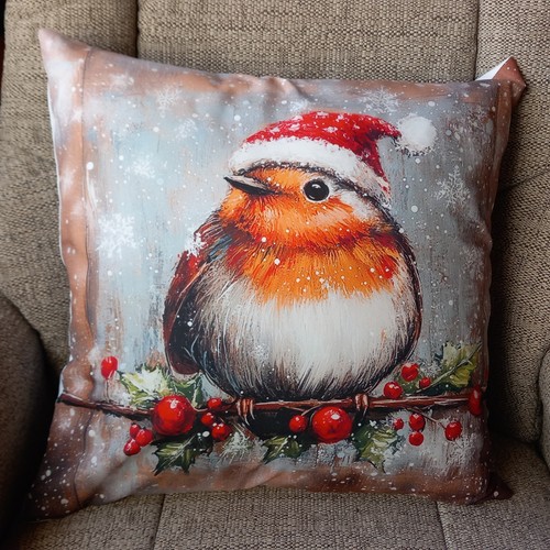 Robin red breast bird - robin,