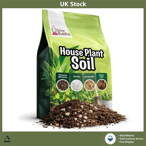 Indoor houseplant potting - indoor,