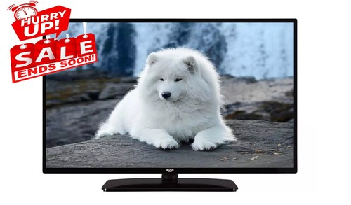 Bush inches freeview - bush, led